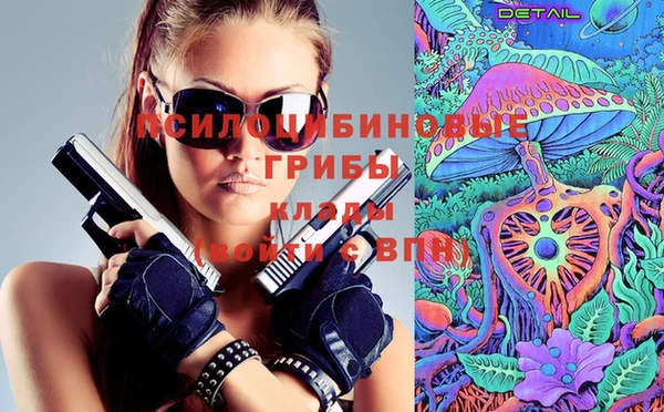 ГАЛЛЮЦИНОГЕННЫЕ ГРИБЫ Новодвинск