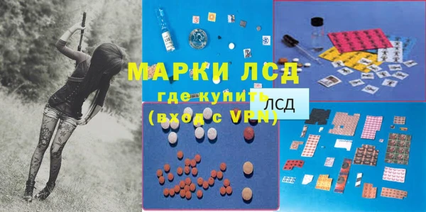ALPHA-PVP Новозыбков
