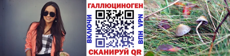 Псилоцибиновые грибы мицелий  цена наркотик  Лиски 