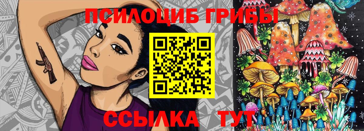 Галлюциногенные грибы Psilocybine cubensis  Лиски 