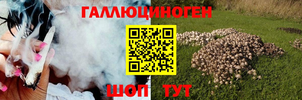 Галлюциногенные грибы Psilocybine cubensis Лиски